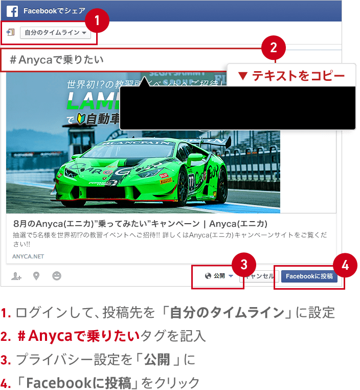 1.ログインして、投稿先を「自分のタイムライン」に設定 2.＃Anycaで乗りたいタグを記入 3.プライバシー設定を「公開」に 4.「Facebookに投稿」をクリック